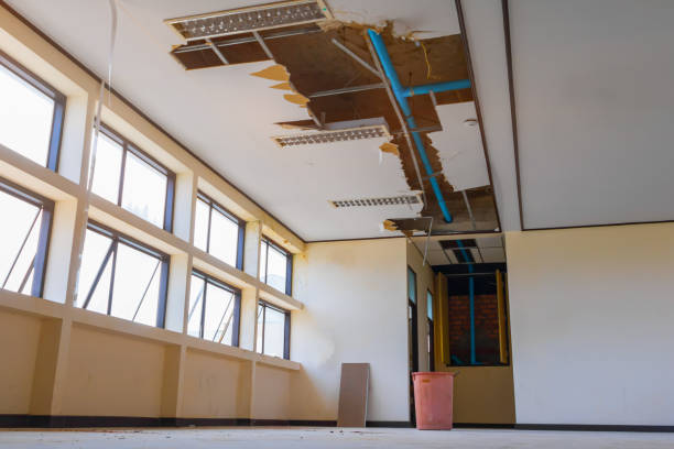 Best Commercial water damage restoration  in Sun City, AZ