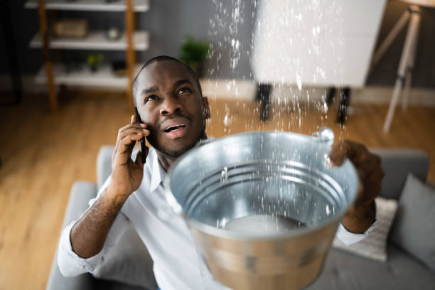 Best Ceiling water damage repair  in Sun City, AZ