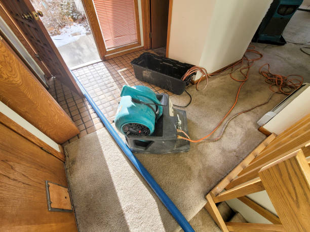 Best Emergency water damage restoration  in Sun City, AZ