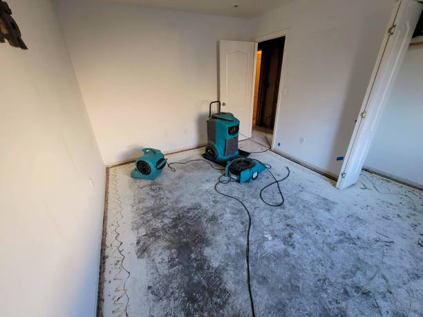 Best Fire Damage Restoration  in Sun City, AZ