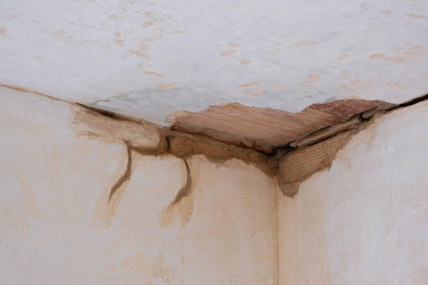 Best Local water damage restoration  in Sun City, AZ