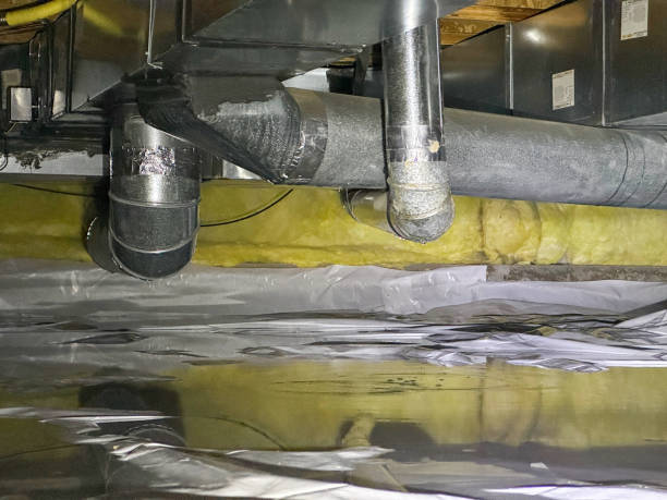 Best Water damage restoration cost  in Sun City, AZ